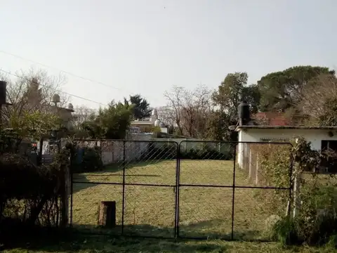 Chimbora 3731