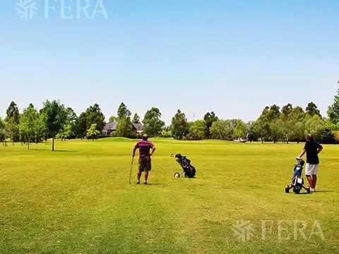 HARAS DEL SUR II LOTE 235