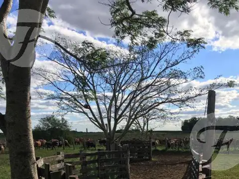 Corrientes I Campo 4168 ha