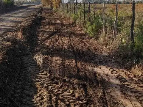 Palomares