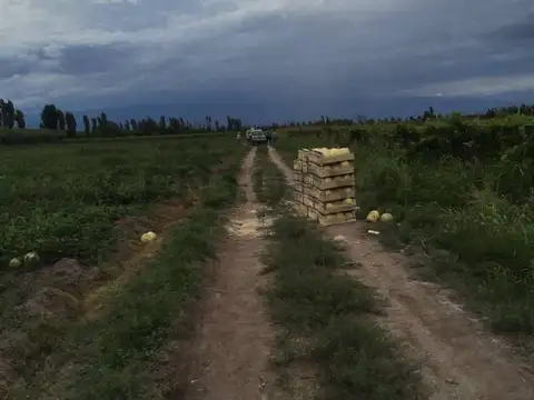 Palomares