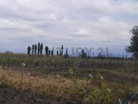 FINCA EN VENTA | OPORTUNIDAD DE INVERSIÓN | LAVALLE