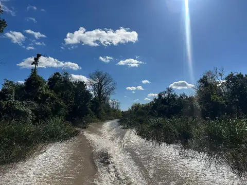 VENTA QUINTA EL RECUERDO sobre Arroyo Toro y Gelvez. Doble Lote. Delta, Tigre