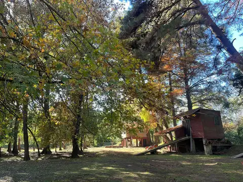 Quinta en Venta en Toro, USD 180.000