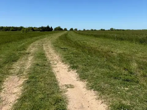 Terreno en Venta de 148000,0 m2