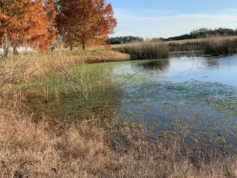 Chacra 14.8 hectareas