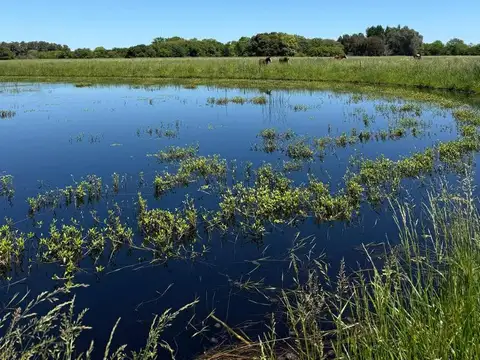 Estancia Benquerencia Farm Club