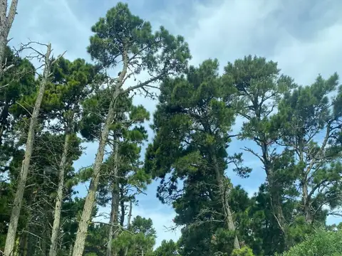 Venta Lote Mar de las Pamoas