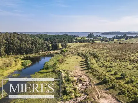Chacra de 10ha en Laguna del Sauce Maldonado