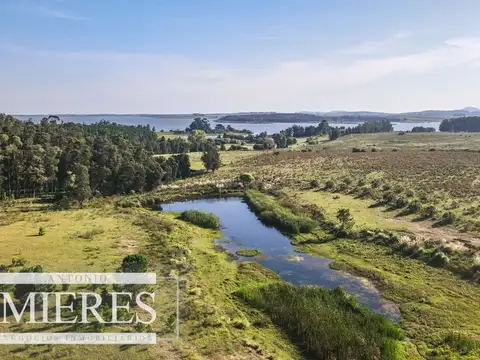 Quinta en Venta en Punta del Este, USD 490.000