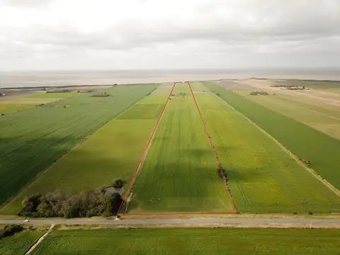 Camino De La Balsa S/n (altura Km 152,500)