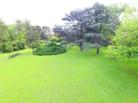 Capitán Giachino 488