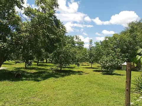 Finca en Venta en Londres - Catamarca