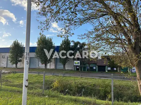 colectora gaona 8300