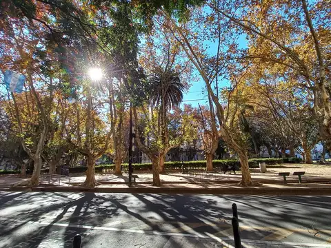 Departamento en Alquiler 60 años