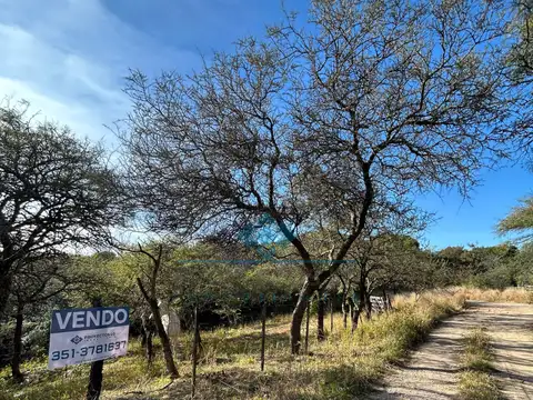 Terreno en Venta de 500,0 m2