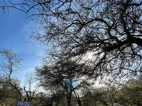 el cedron