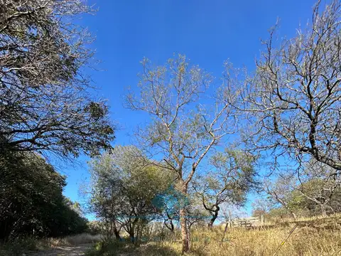 Terreno en Venta de 500,0 m2