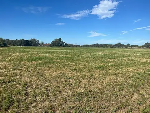 Campo de 26 has en venta en Canning, Ezeiza. Ruta 52 y Paso de los Libres.