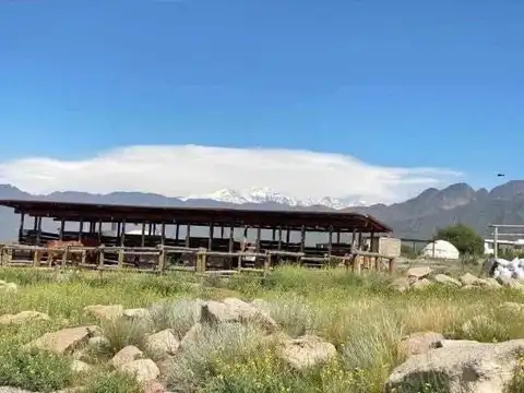 Terreno en Venta en Luján de Cuyo, USD 28.900