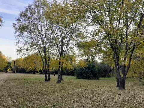 Ruta Provincial 5 km 83 , Villa gral belgrano 100