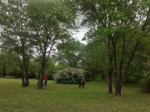 Terreno en Venta en Villa General Belgrano, USD 58.000