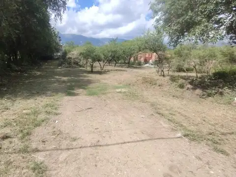 Los Olivares