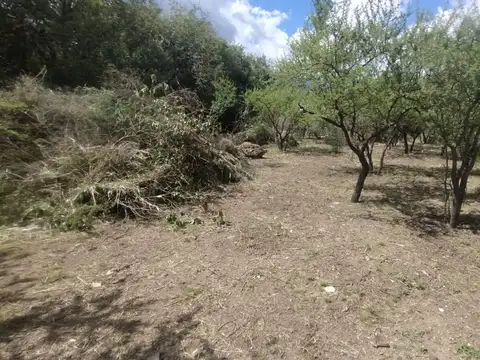 Terreno en Venta, FOT 45