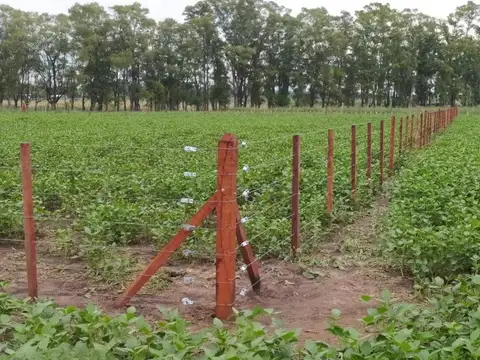 Terreno en Venta en Carlos Keen, USD 33.000