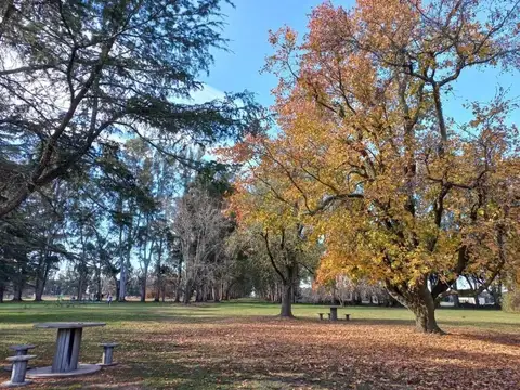 Chacras de San Andrés
