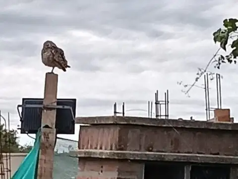 Terreno en Venta en Valle del Golf, USD 54.000