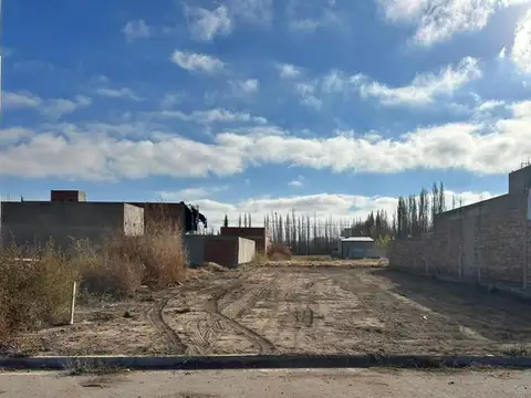 Elordi