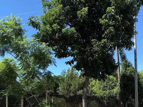 Terreno en Villa Gobernador Galvez