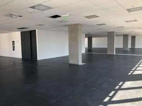 Oficina en Alquiler al Este