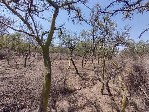 Terreno en Venta de 2,0 m2