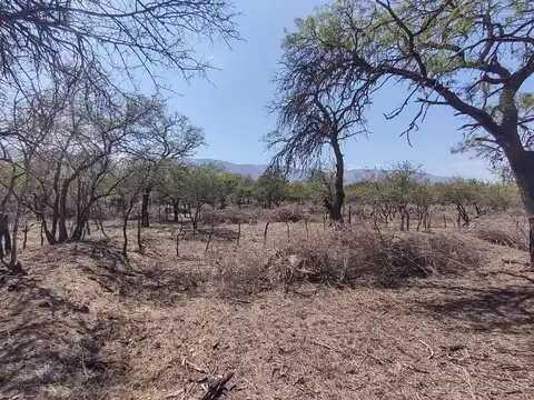 Terreno en Venta en Luyaba, USD 55.000
