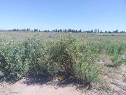 Terreno en Venta en Rivadavia, USD 89.000