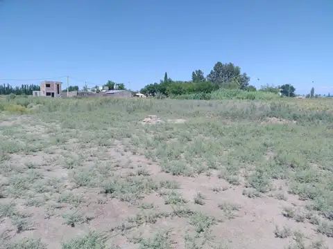 Terreno 4.500 m2 Rivadavia Mendoza