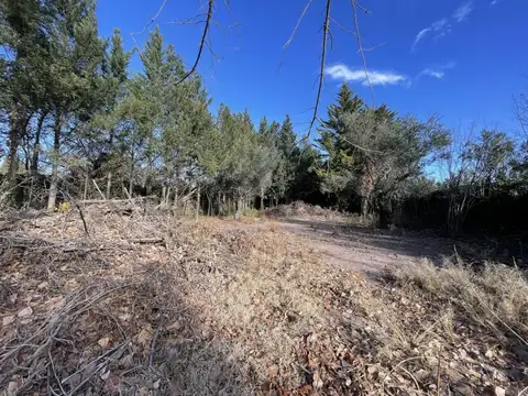 Terreno en Venta en Vistalba, USD 70.000