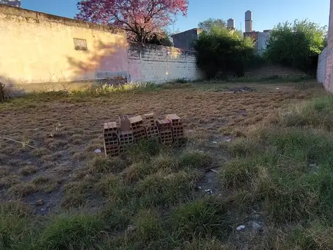 Juan José Paso 100