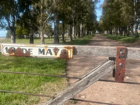 Campo en venta en San Cayetano, Provincia de Buenos Aires