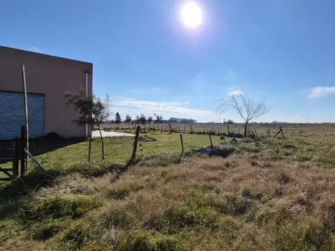 VENTA DE 4.5 HECTAREAS CAMPO CON CASA