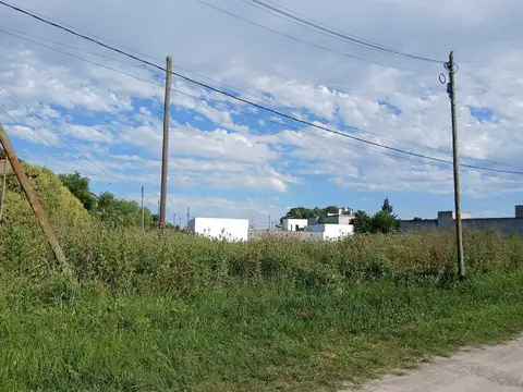 31  e/ 496 y 497