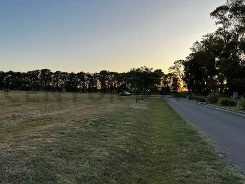 Haras San Pablo 1 , Piso 0