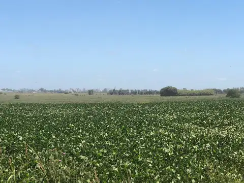 CAMPO EN VENTA EN PERGAMINO