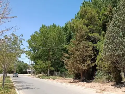 Lote 348 m2 ubicación privilegiada Plaza Huincul