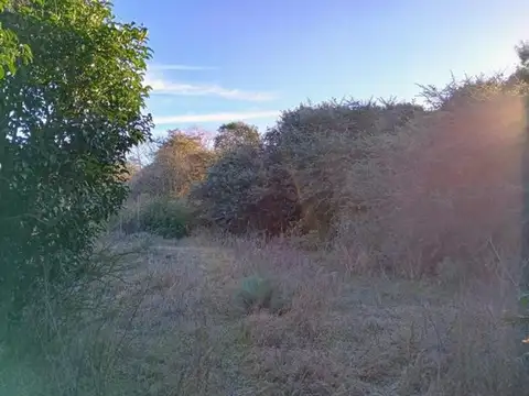 Los Espinillos Esquina Carqueja 900