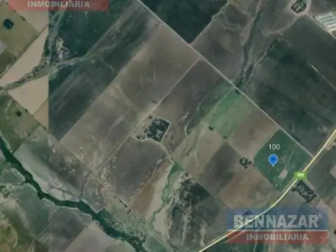 Campo en Doyle