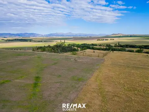 ESPECTACULAR CAMPO CON DOS CASAS y GALPON