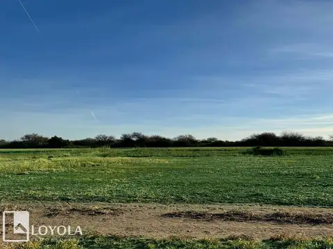 65 Has  Ruta 148 Córdoba limite San Luis Financiación